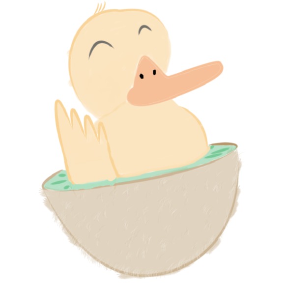 kiwi_duckling